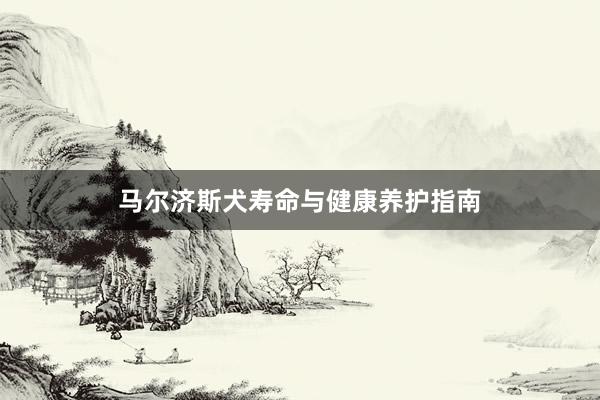 马尔济斯犬寿命与健康养护指南